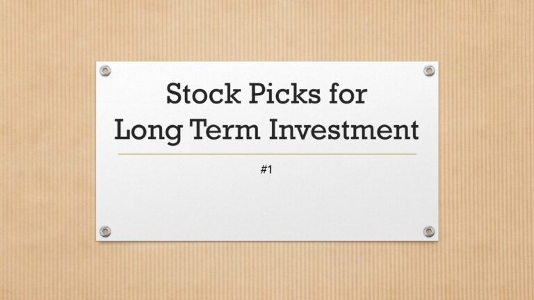 Stock Picks for Long Term Investment #1