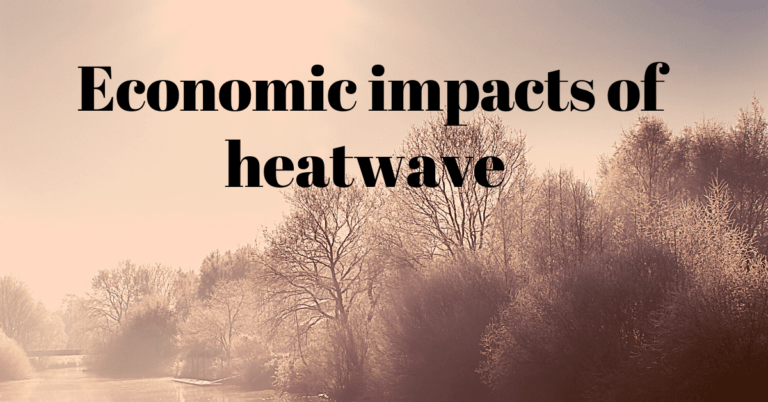 Economic Impacts of Heatwave in India