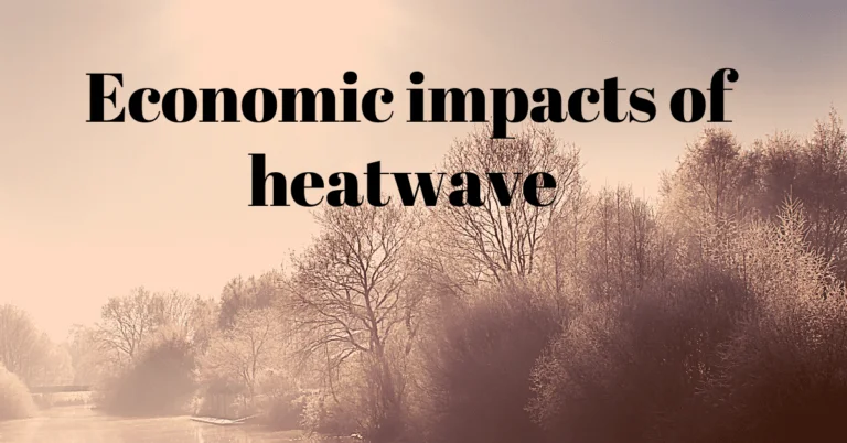 Economic Impacts of Heatwave in India
